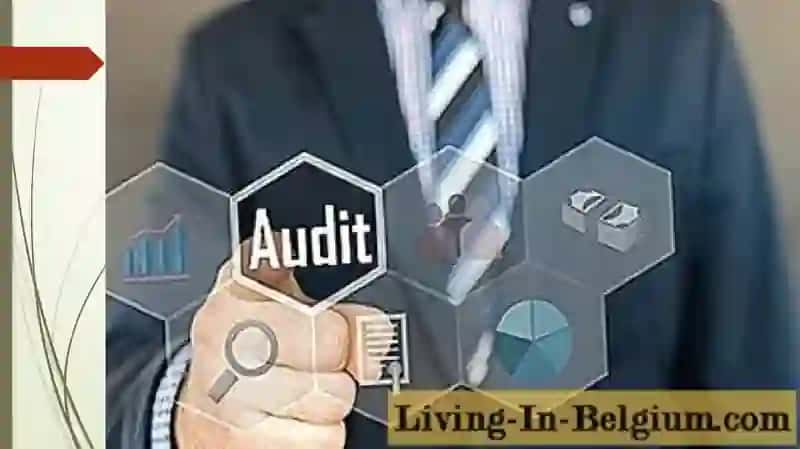 Auditdadalillar 2
