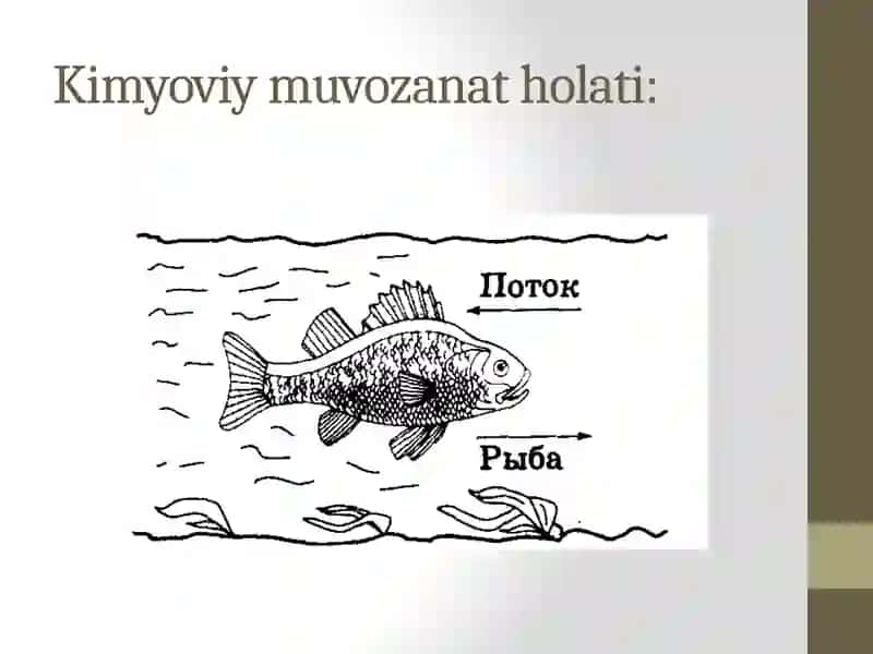 Kimyoviymuvozanat 2