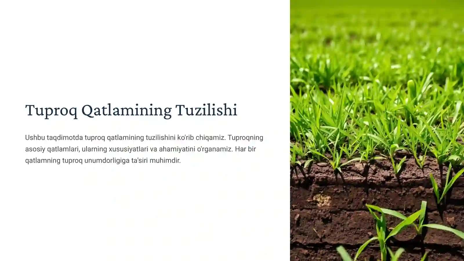 Tuproq Qatlamining Tuzilishi 2