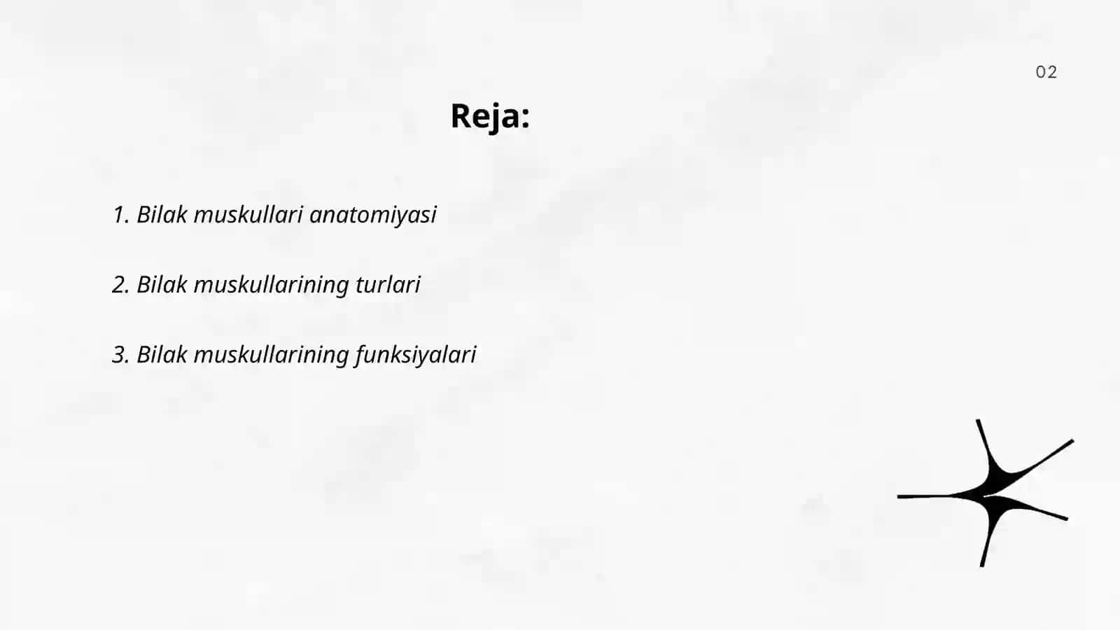 Bilak muskullari 2