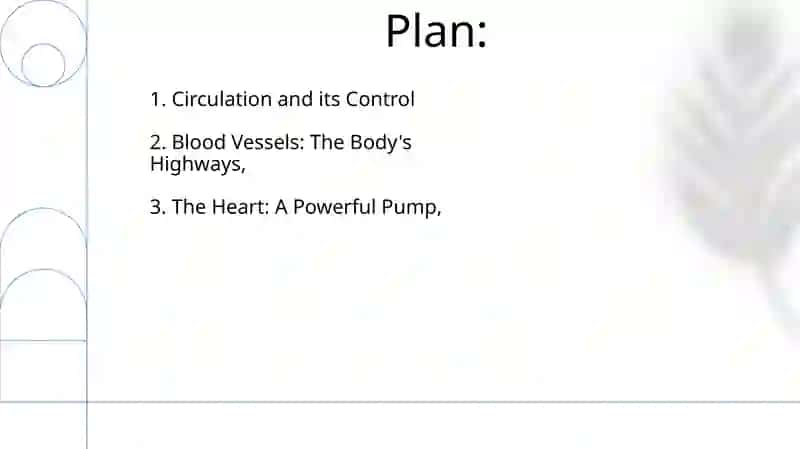 Heart and a vascular system 2