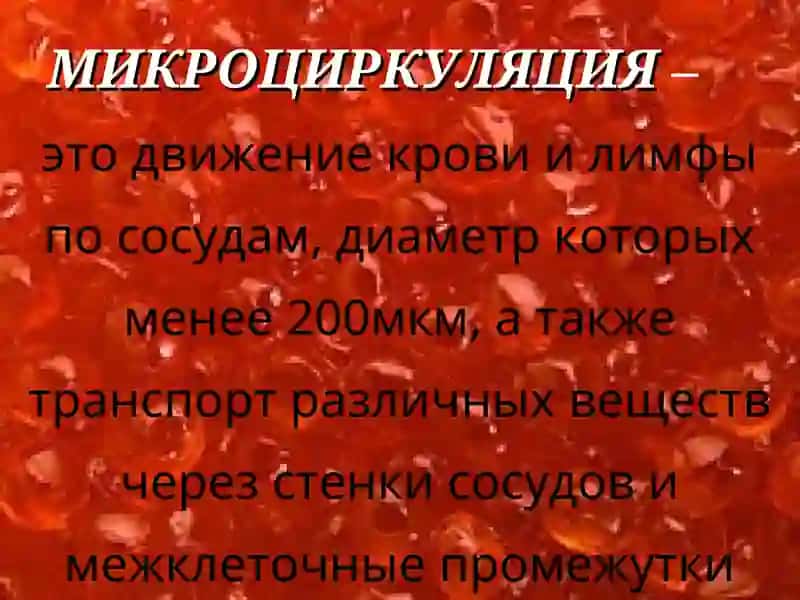 Физиология микроциркуляции 2