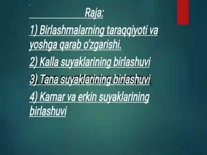 Birlashmalarning rentgenoanatomiyasi 2