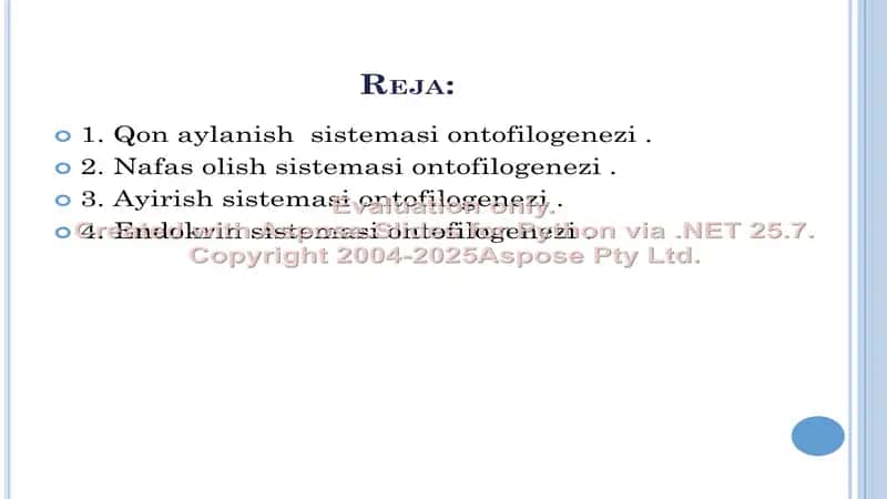 A’zolar sistemasi ontofilogenezi 2