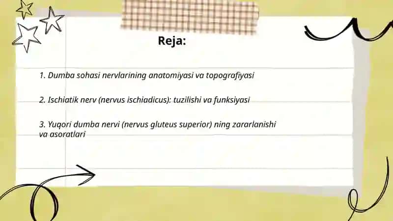 Dumba sohasi nervlari 2