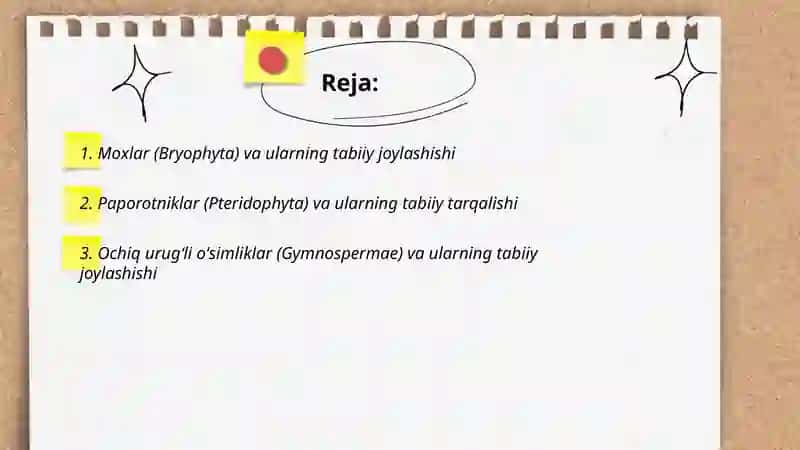 Moxlar (Bryophyta) 2