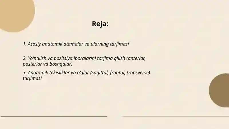 Anatomik iboralarning tarjimasi 2