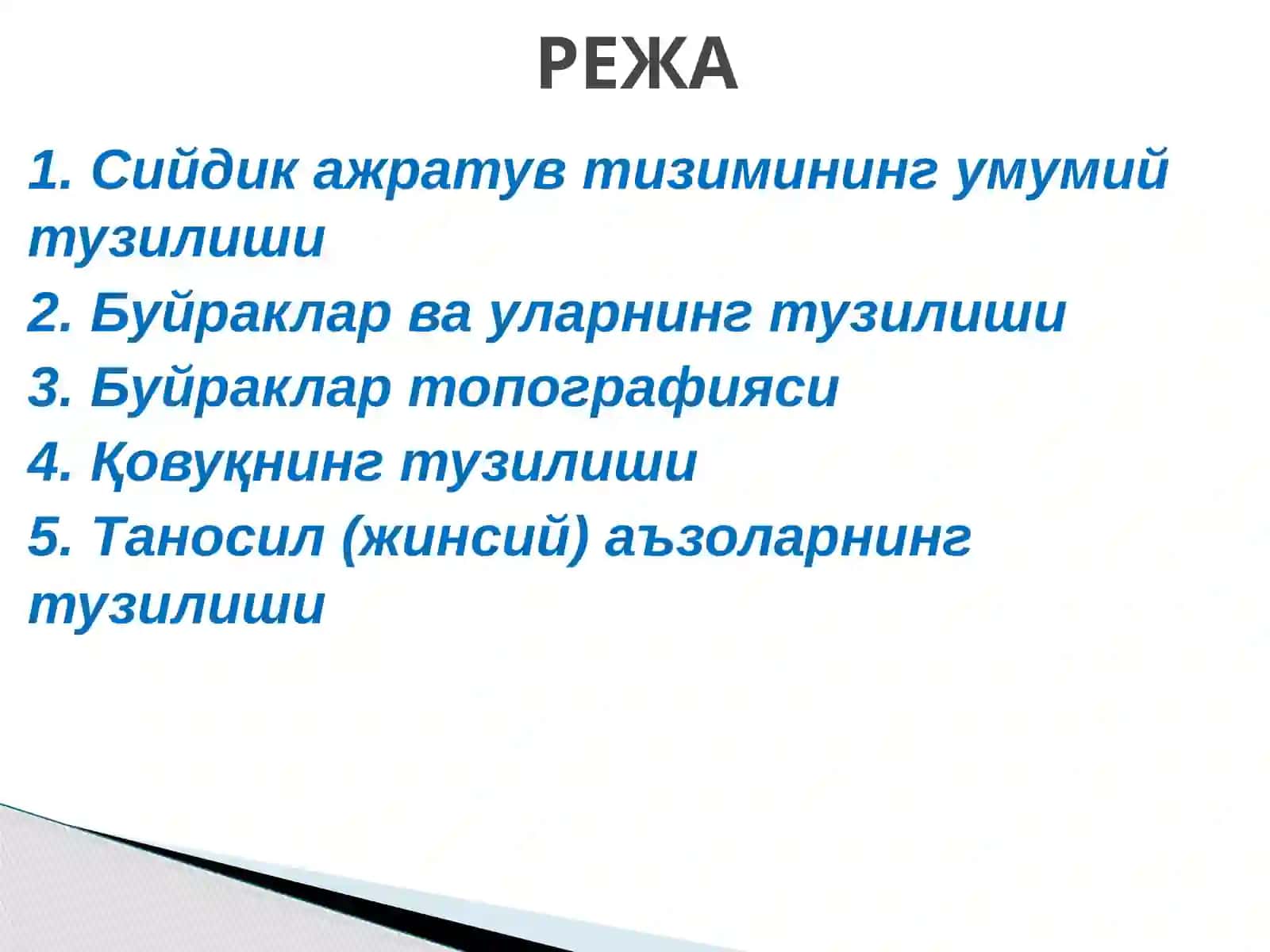 Сийдик ва таносил аъзоларининг тузилиши, вазифалари ва аҳамияти 2