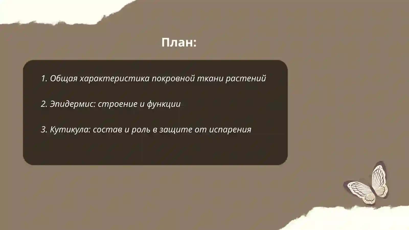 Покровная ткань 2