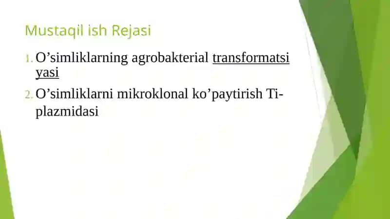 O’simliklarning Agrobakterial Transformatsiyasi 2