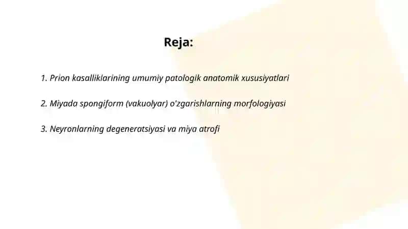 Prion kasalliklari patologik anatomiyasi 2