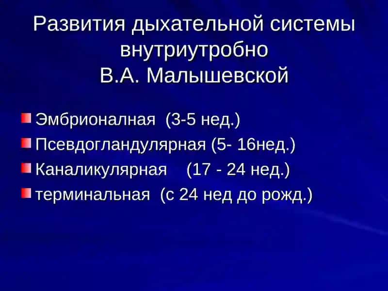 Развитие дыхательной системы внутриутробно 2
