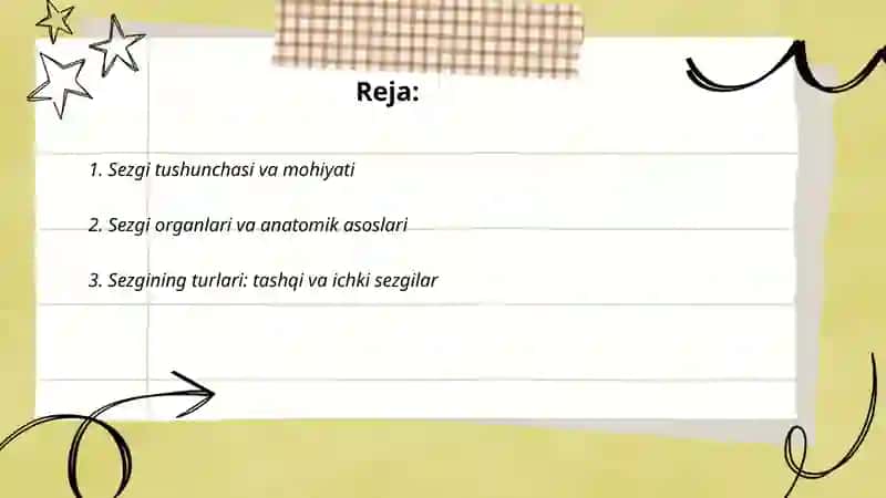 Sezgi haqida tushuncha 2