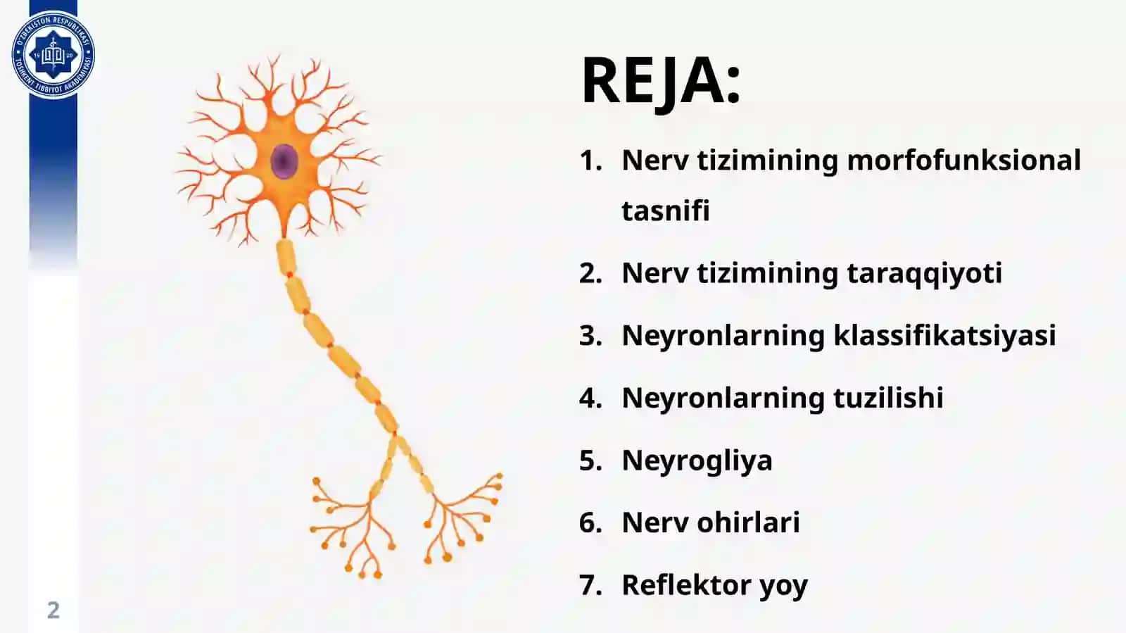 NERV TO‘QIMASI NEYRONLAR VA NEYROGLIYA 2