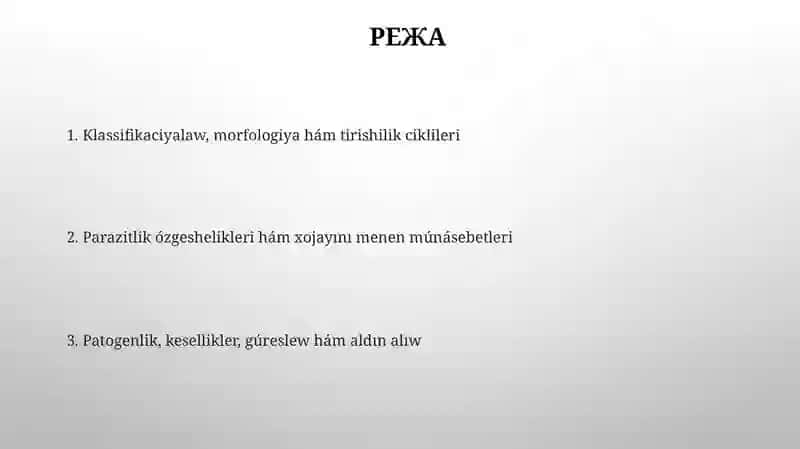 Kirpikli Infuzoriyalar 2