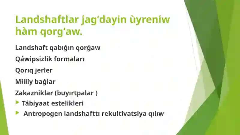 Landshaft qabıǵı 2