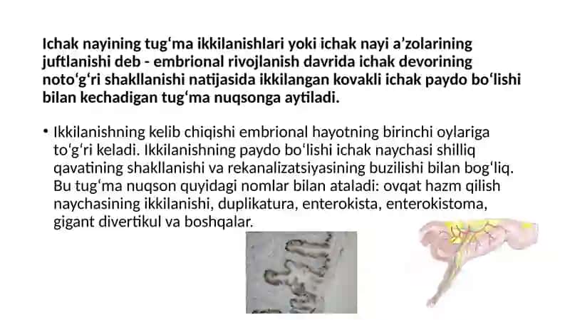 Xazmqilish nayining ikkilanishi 2