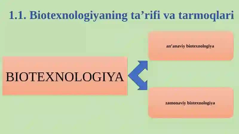 Biotexnologiyaning oziq-ovqat sanoatidagi roli 2