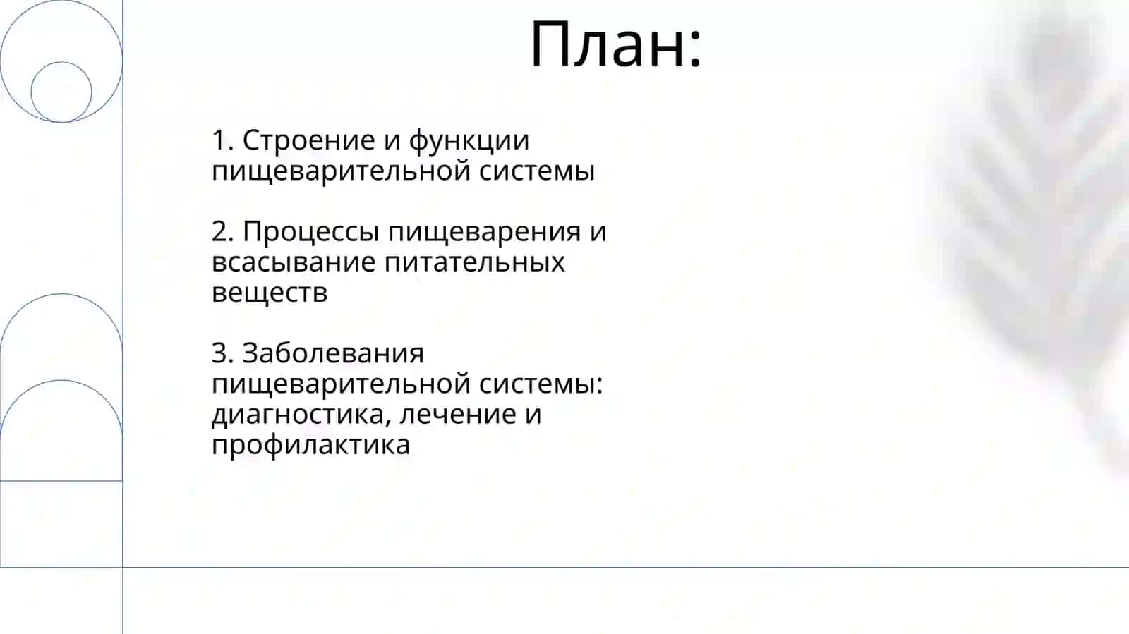 Система пищеварения 2
