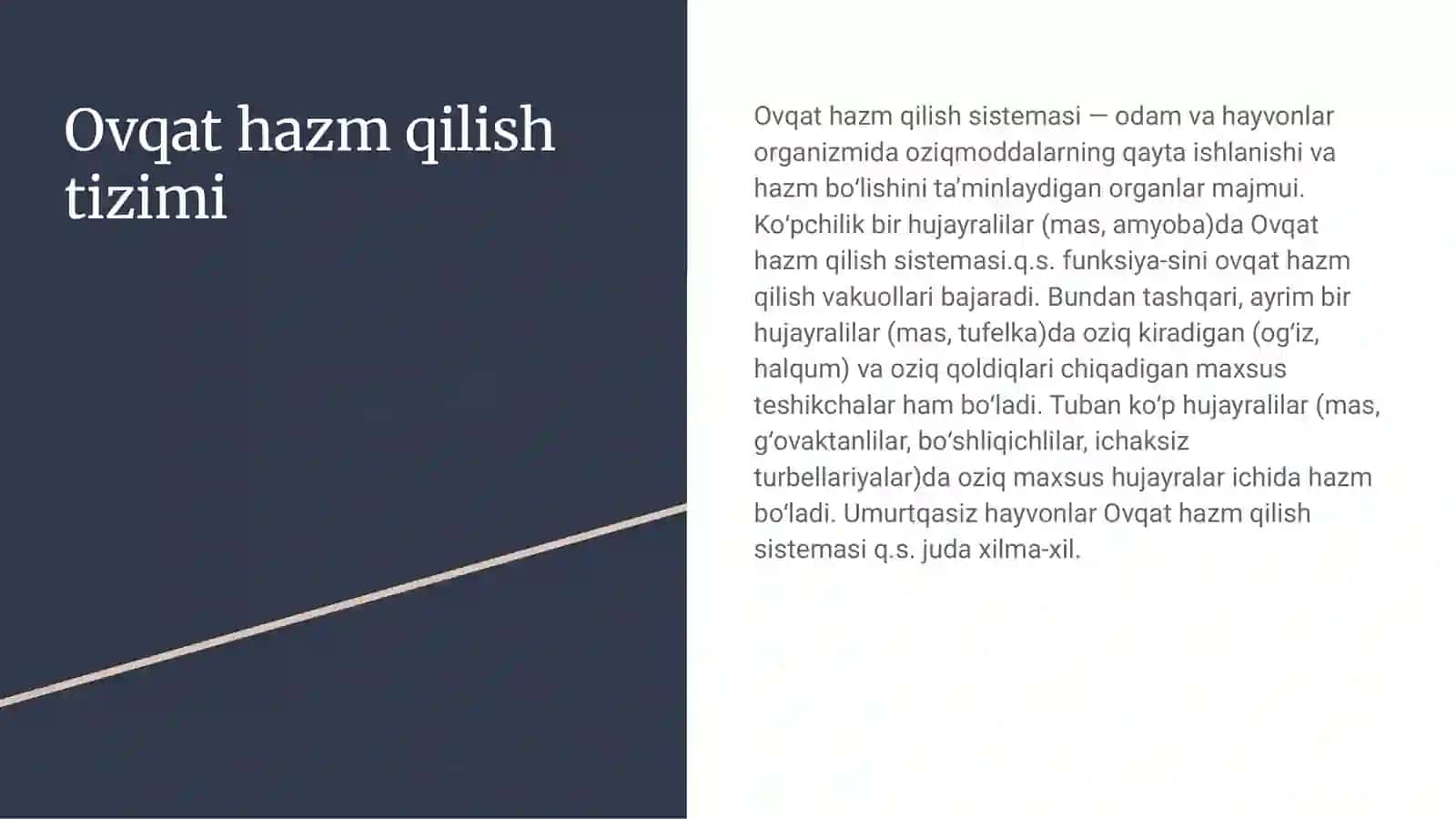 Ovqat hazm qilish tizimi 2