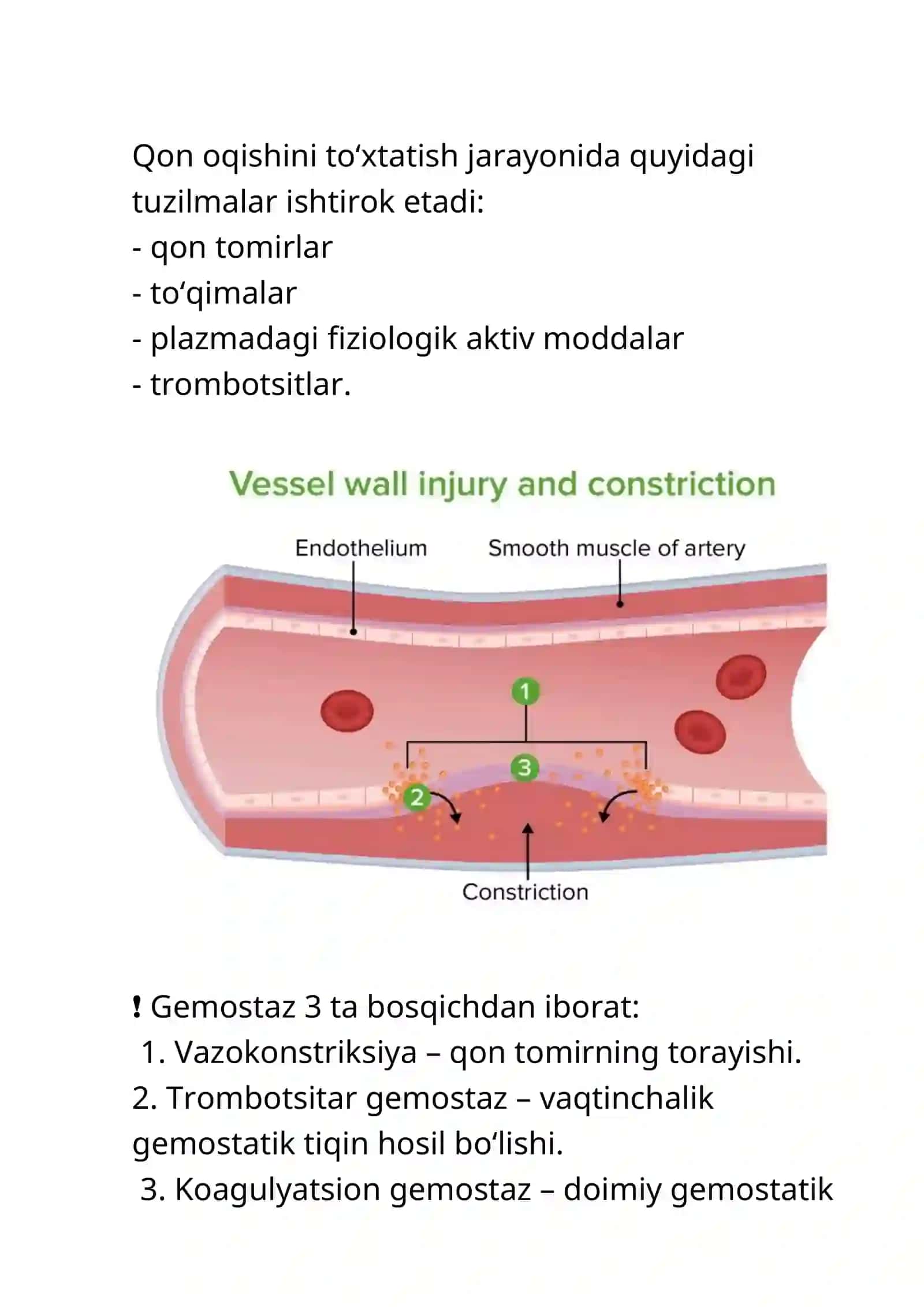 QON IVISHI – GEMOSTAZ 2