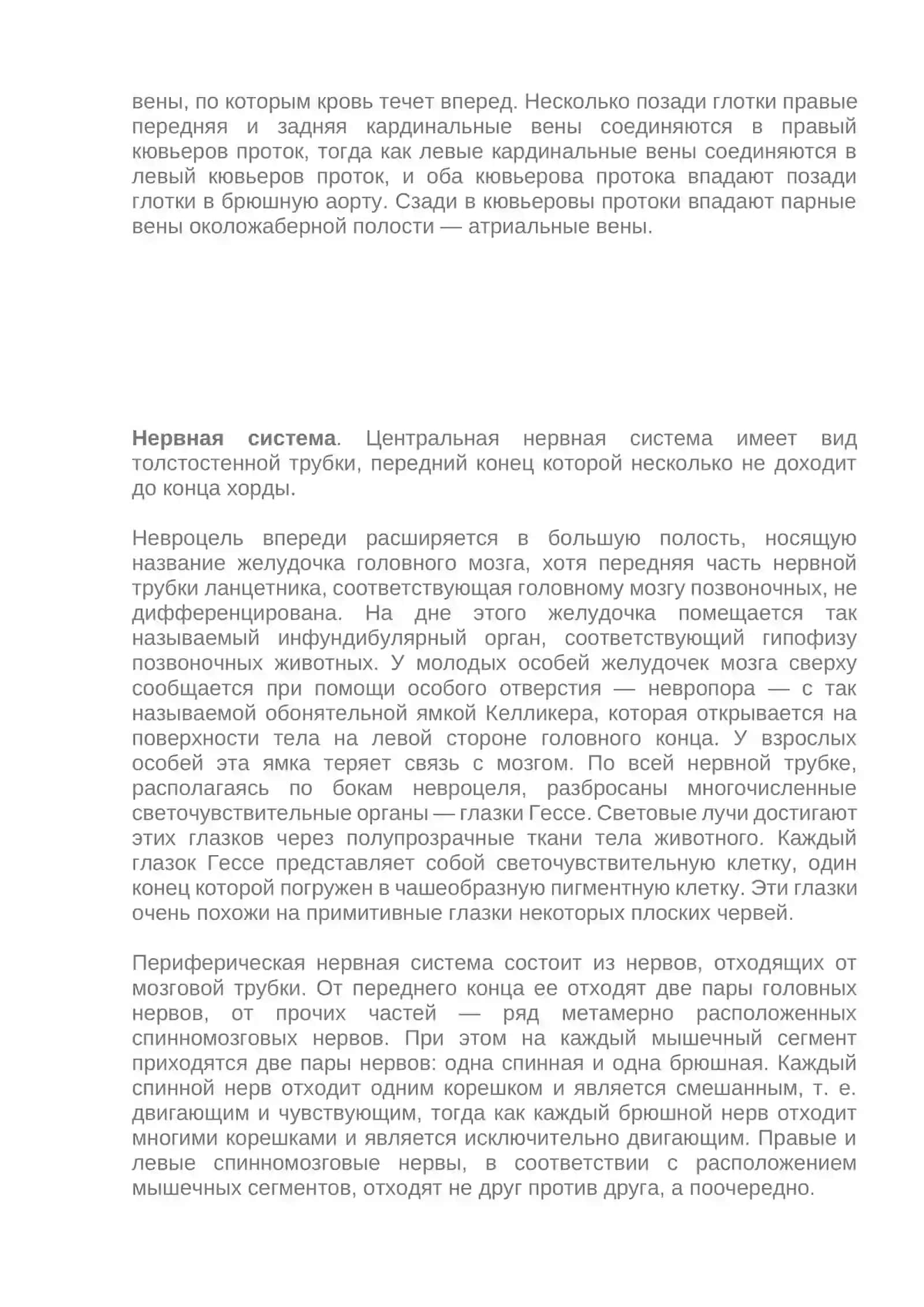 Артериальная система 2