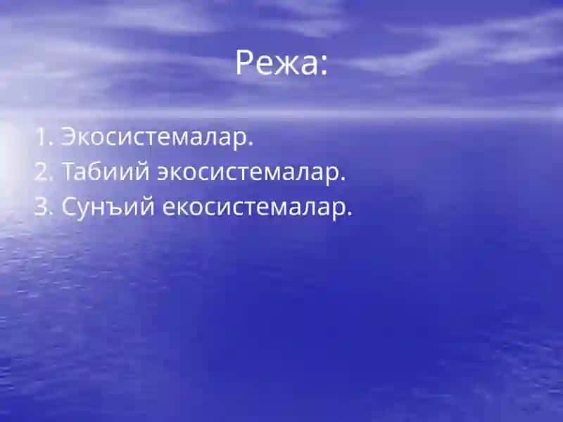 Экосистемалар эологияси 2