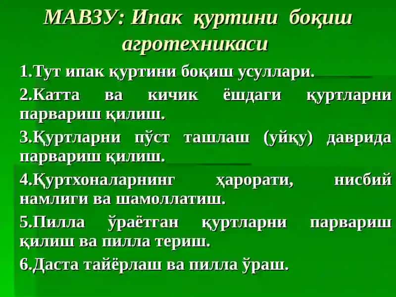 Ипак қуртини боқиш агротехникаси 2