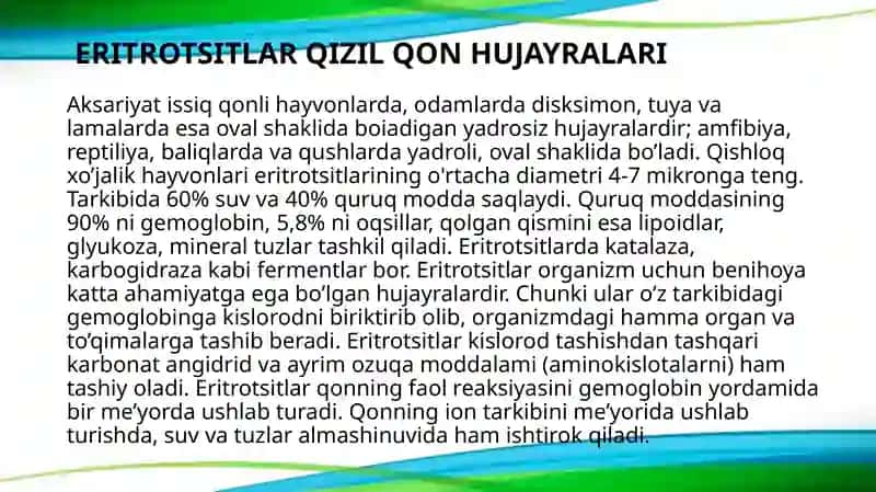 Qonning shaklli elementlari 2