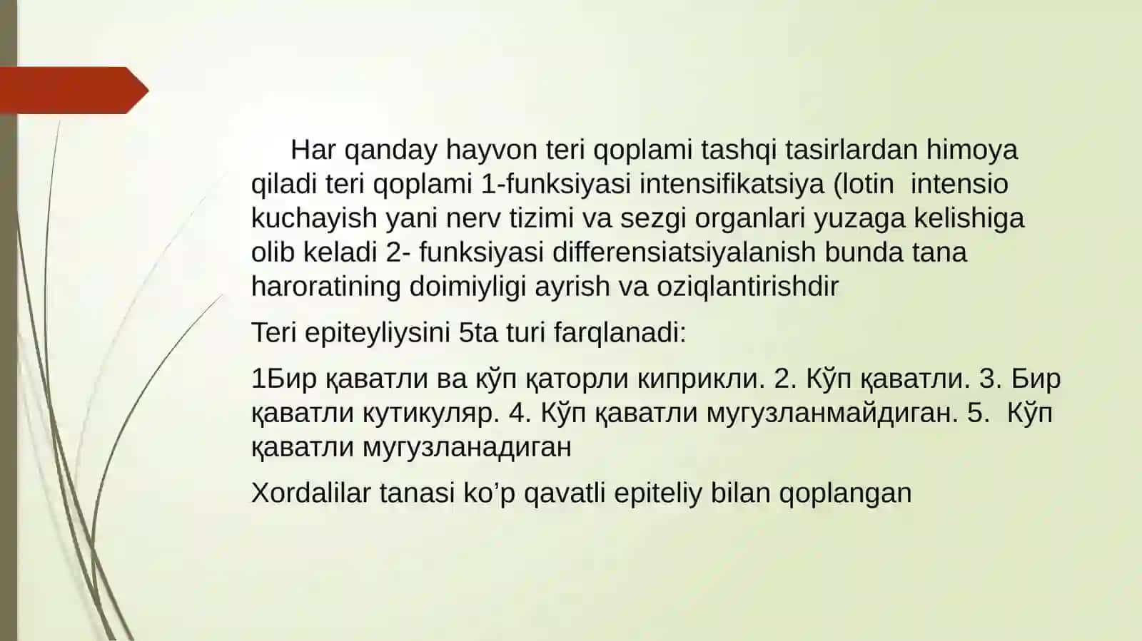 QoplovchivaTayanchharakattizimiontofilogenezi 2