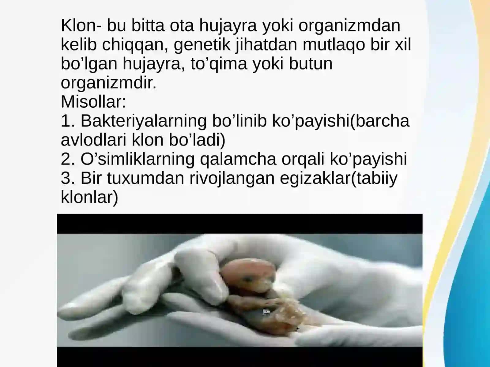 Klonlar, klonlashtirish vaularning klinikahamiyati 2
