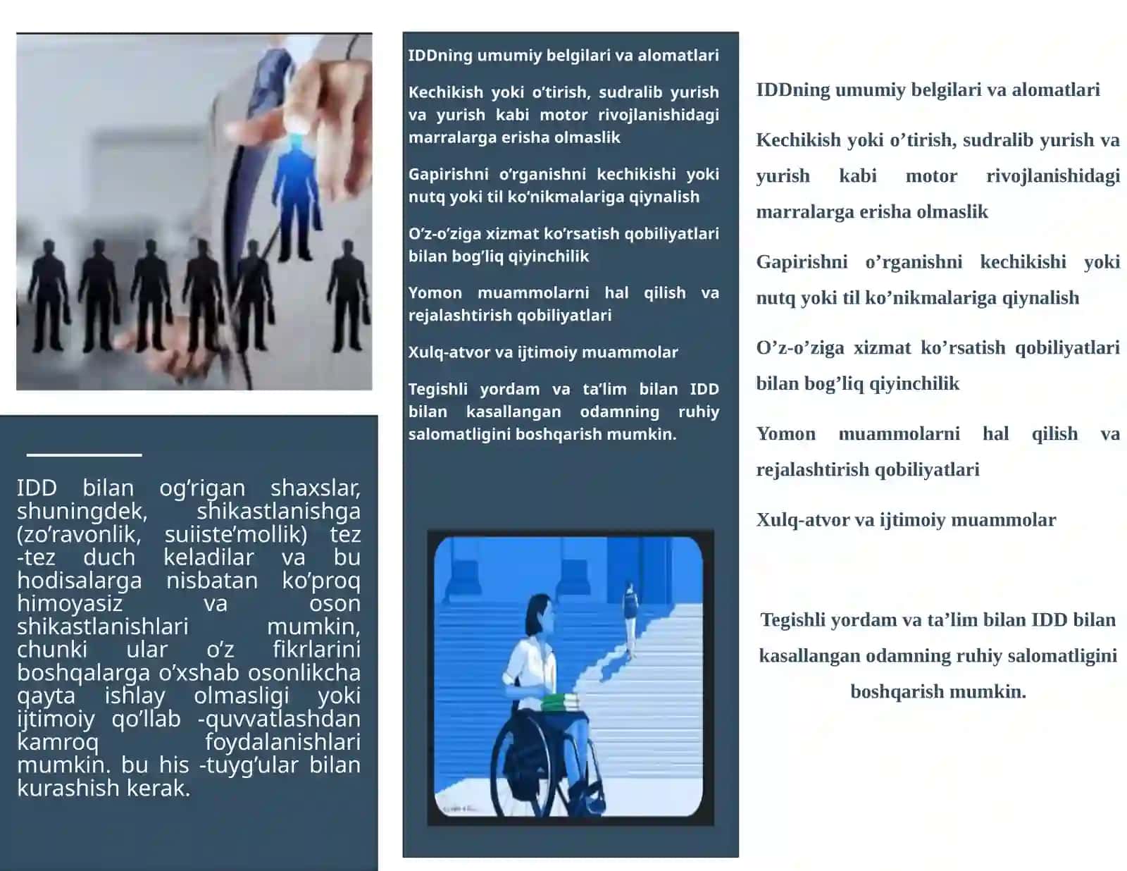 Aqliy va Rivojlanish Nogironligi (IDD) 2