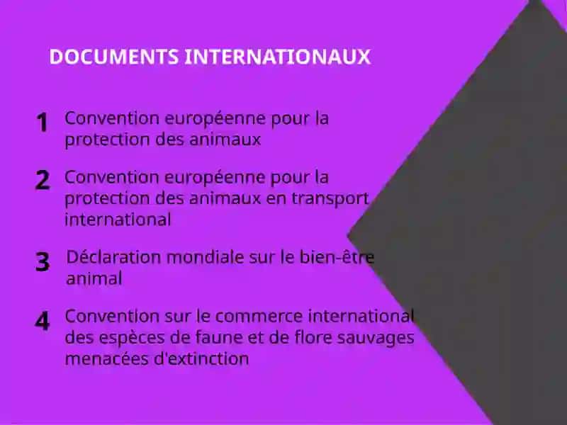 LE DROIT DES ANIMAUX 2