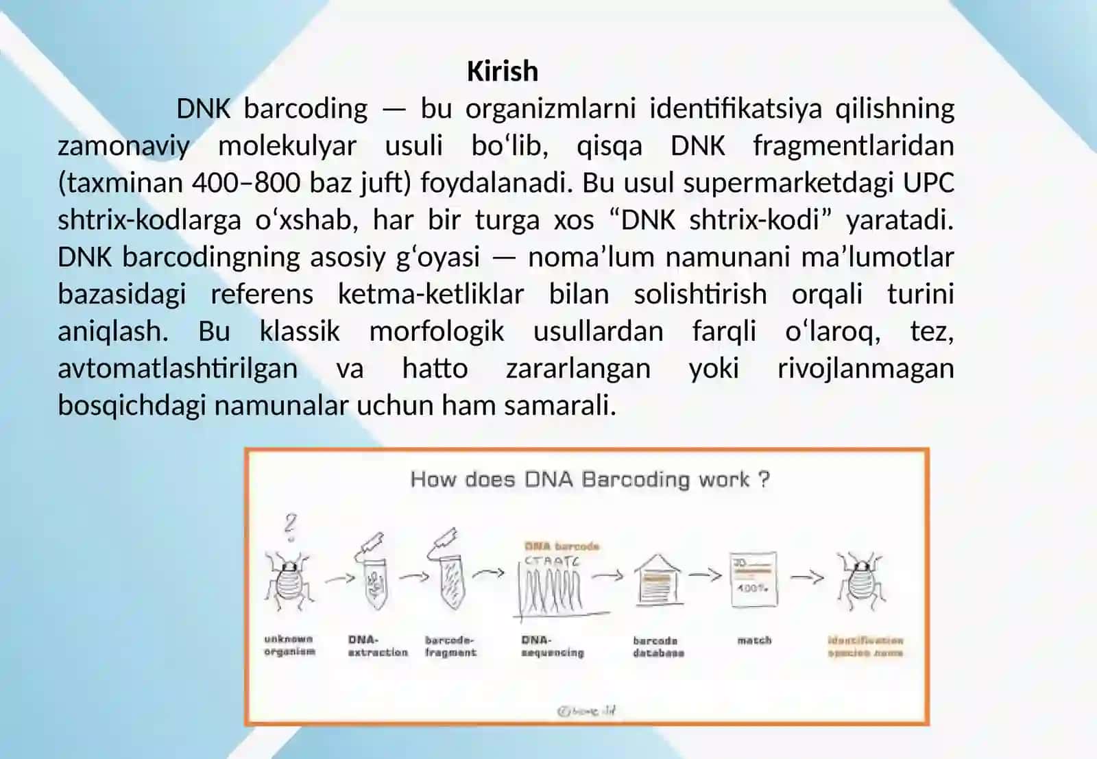 DNK barcoding va tur identifikatsiyasida qo‘llanilishi 2