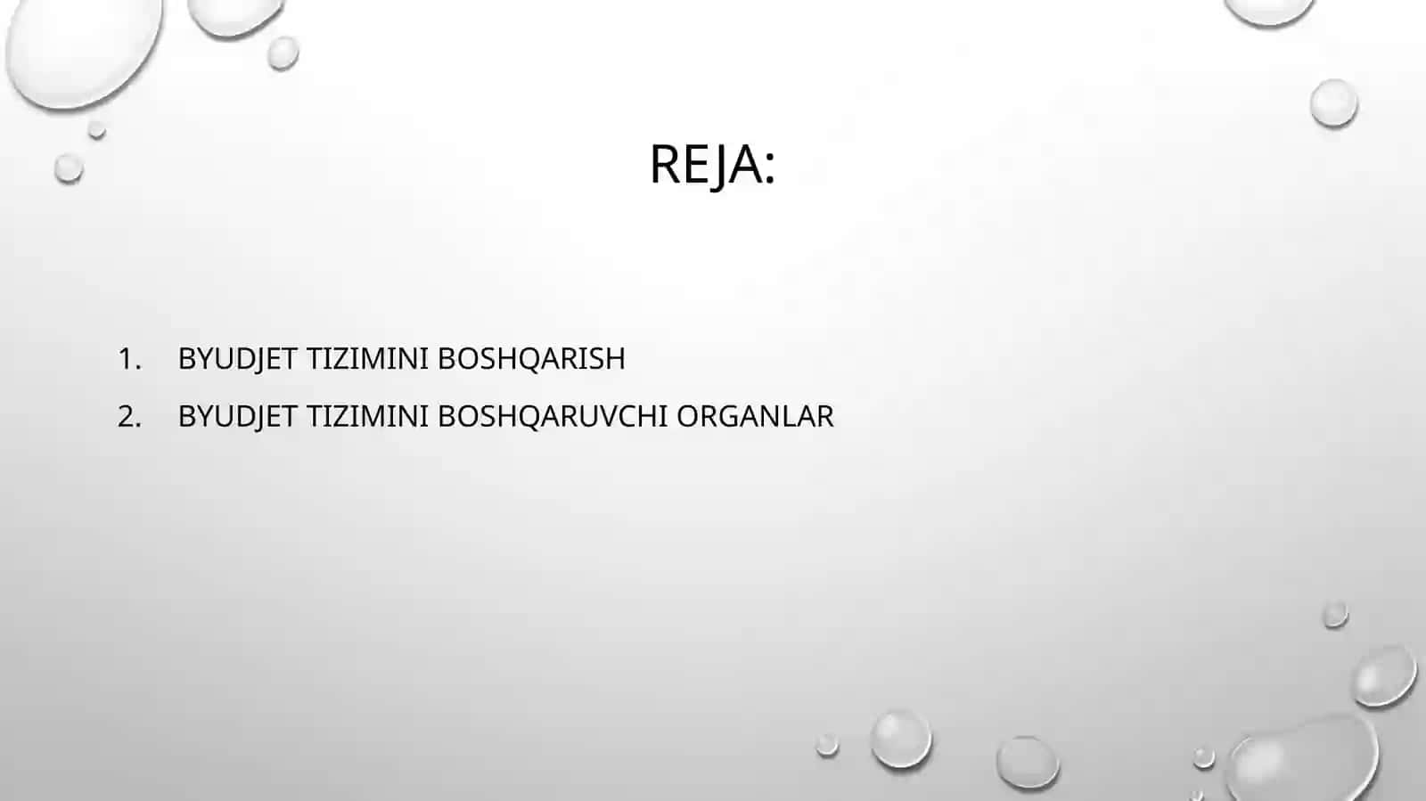 Byudjet tizimini boshqarish 2