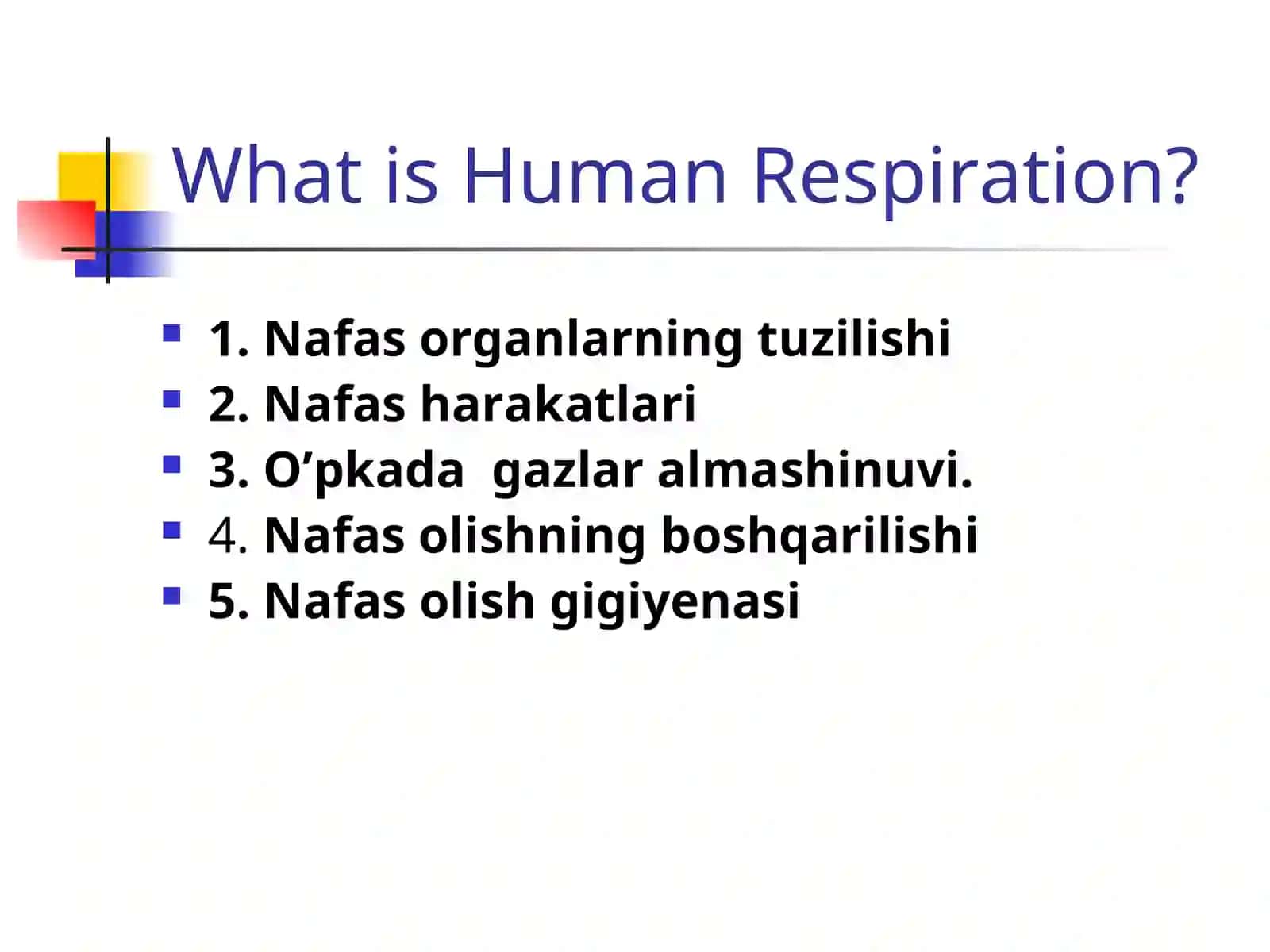 NAFAS OLISH SISTEMALARI 2