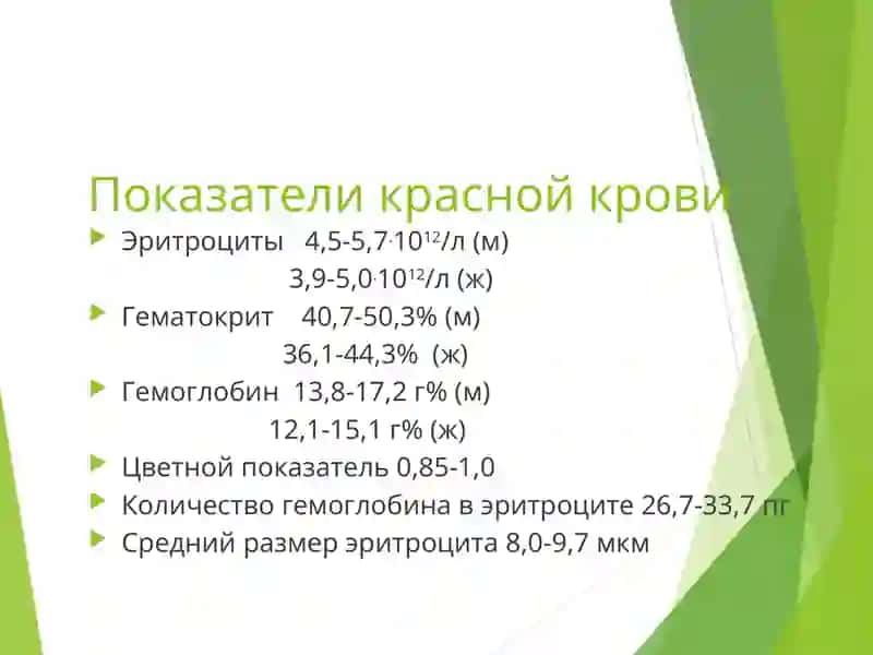 Патофизиология красной крови 2