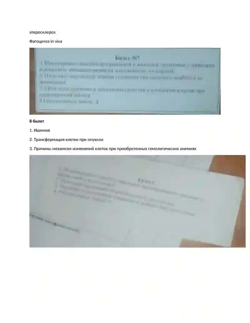 Воспроизведение гиперосмолярного отека. Механизм 2