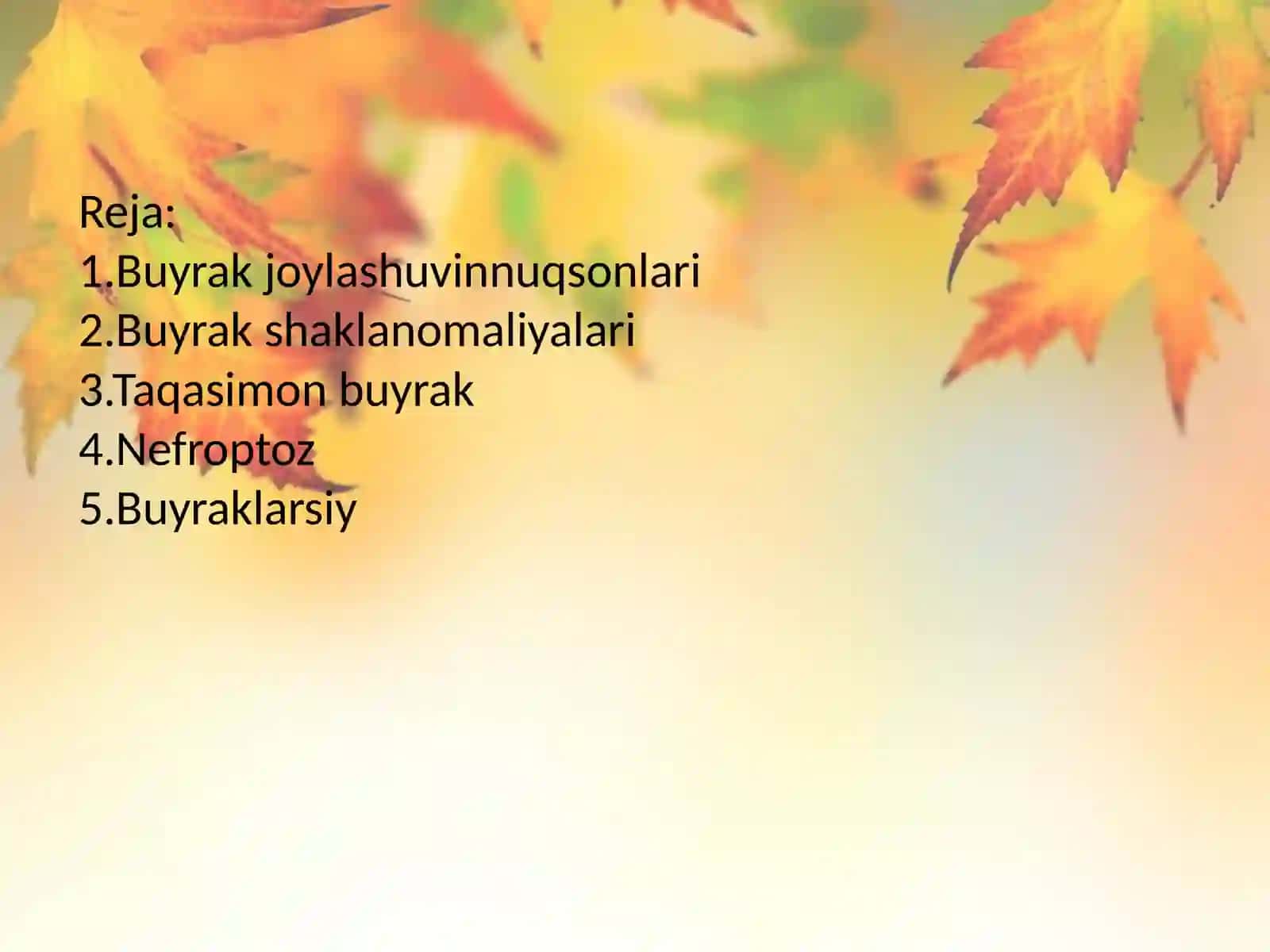 Buyraklarning tug'ma nuqsonlari 2