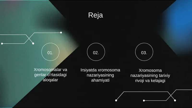 Irsiyatning xromosoma nazariyasi 2