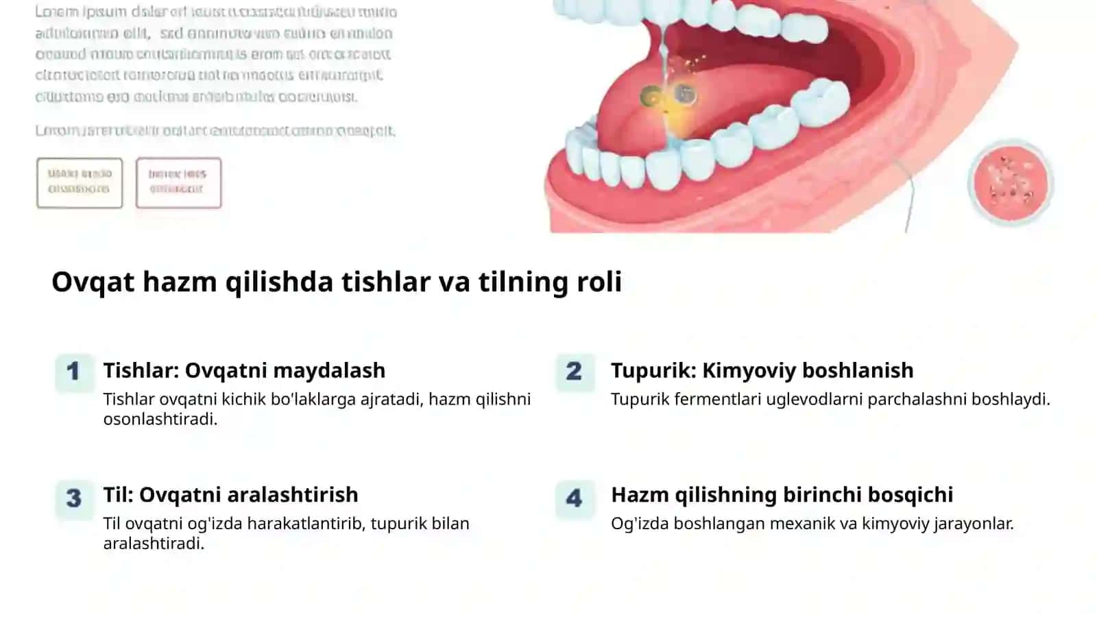 Ovqat hazm qilish: sog'lom hayot kaliti 2