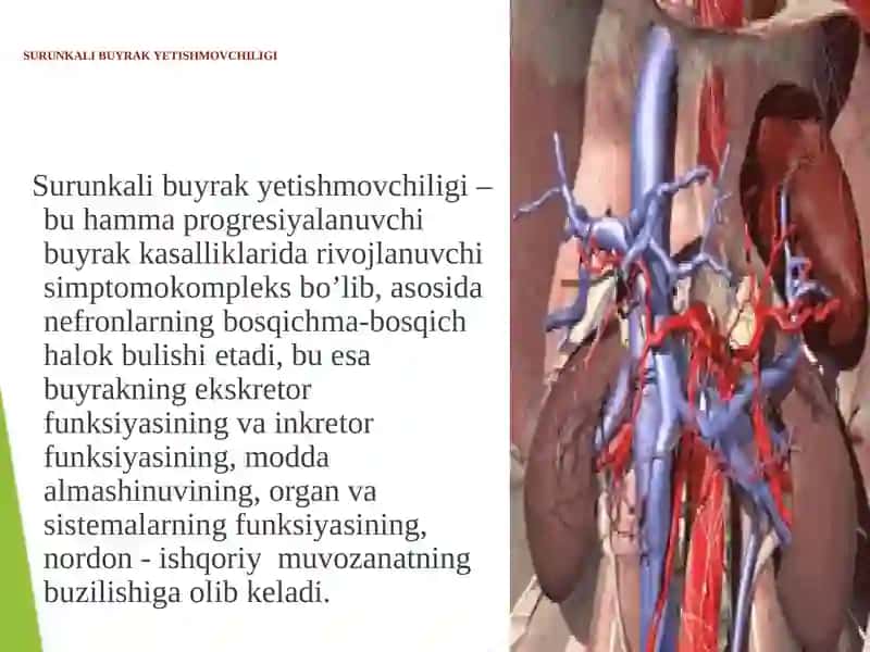Surunkali buyrak yetishmovchiligi 2