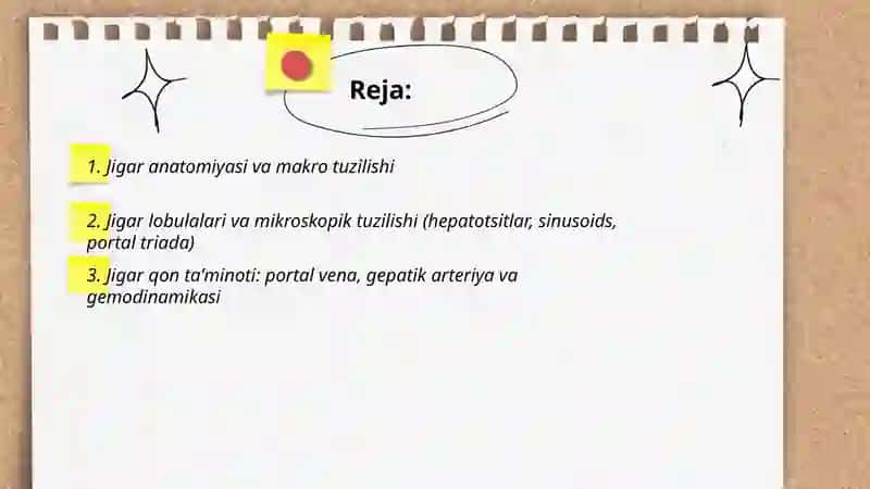 Hazm bezlari Jigar 2