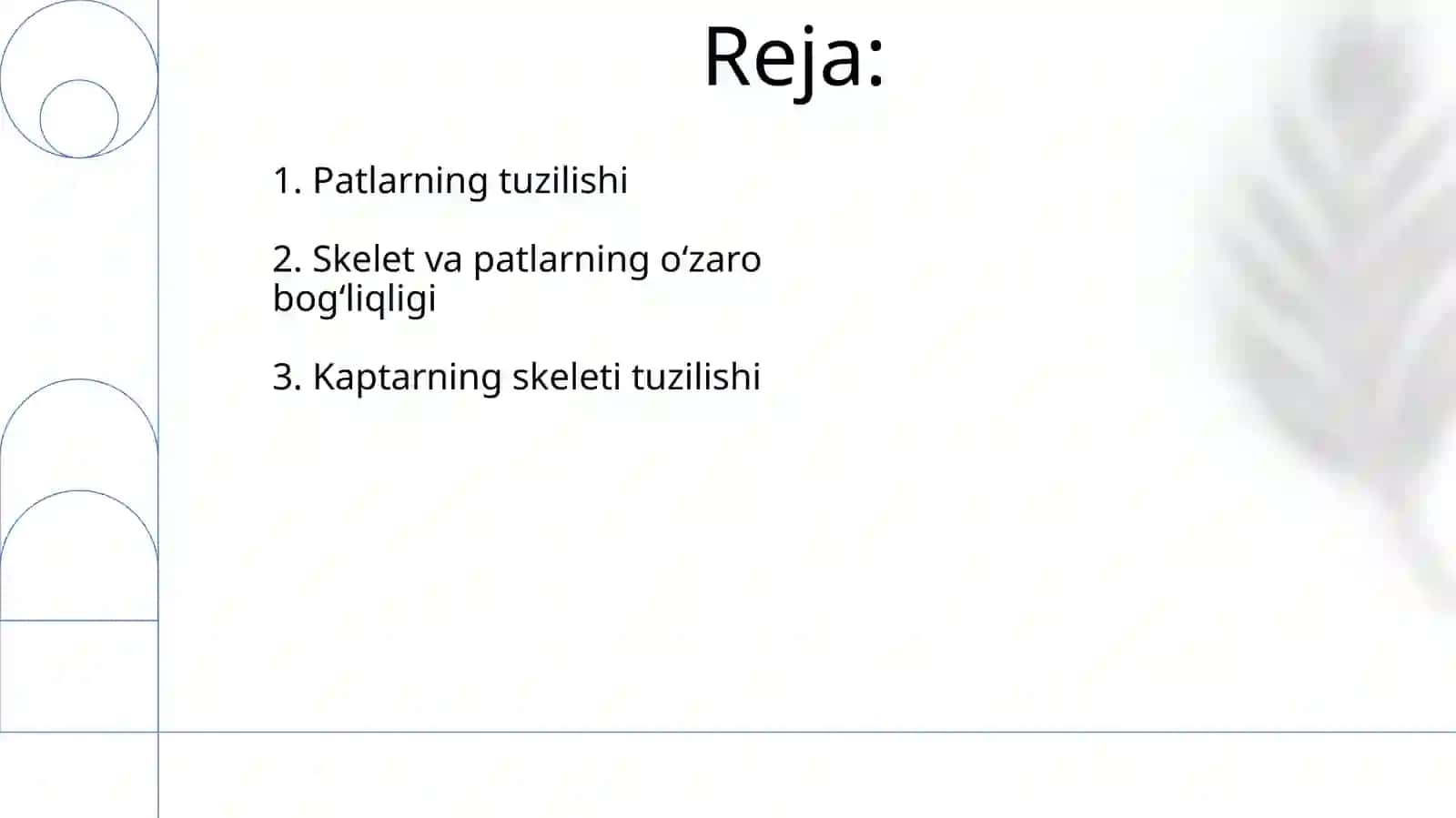 Kaptararning skeleti va pat tuzilishi 2
