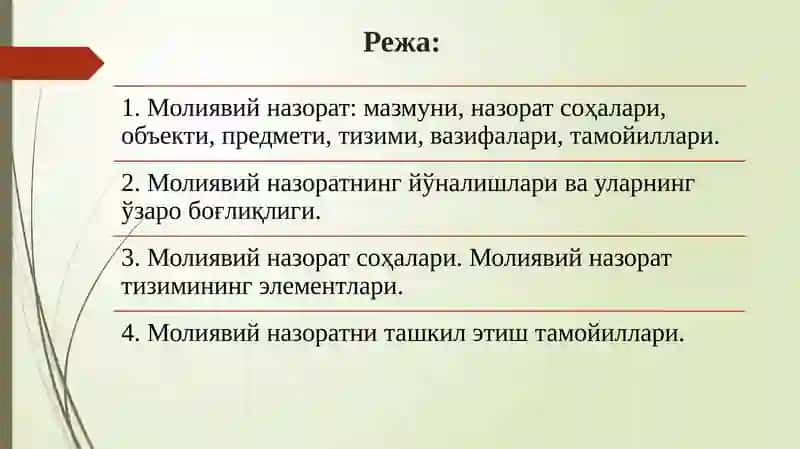 Moliyaviy nazorat 2