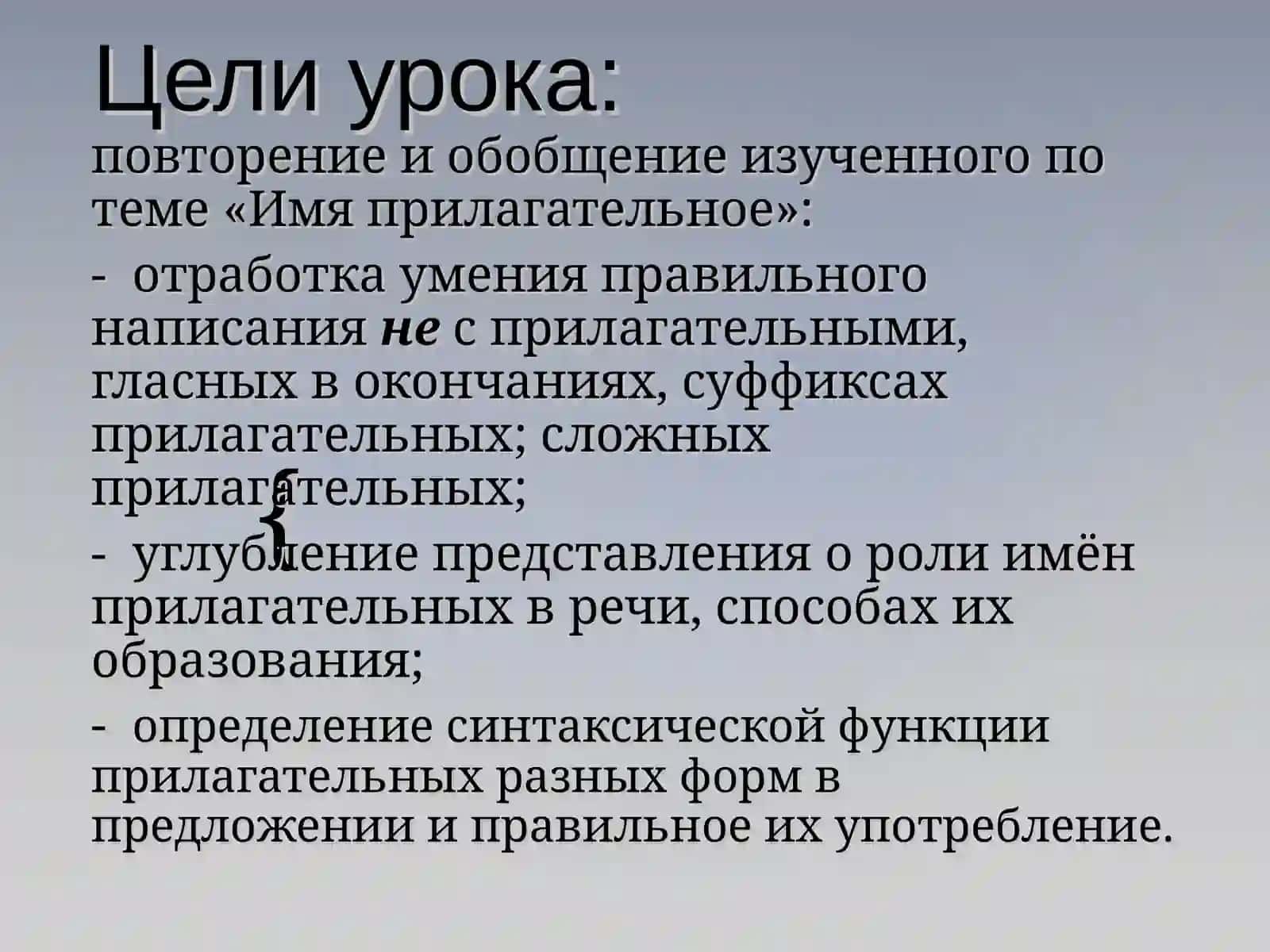 Имя прилагательное 2