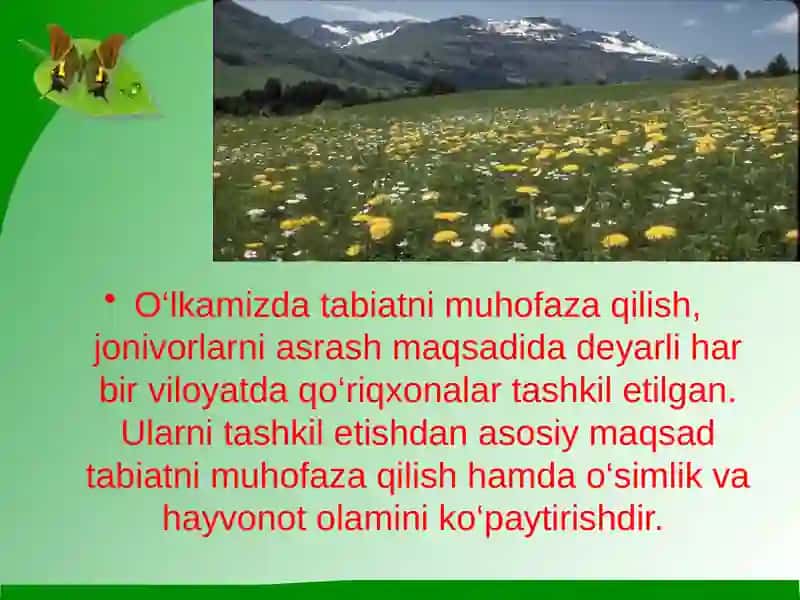 "Kitob” davlat qo‘riqxonasi 2
