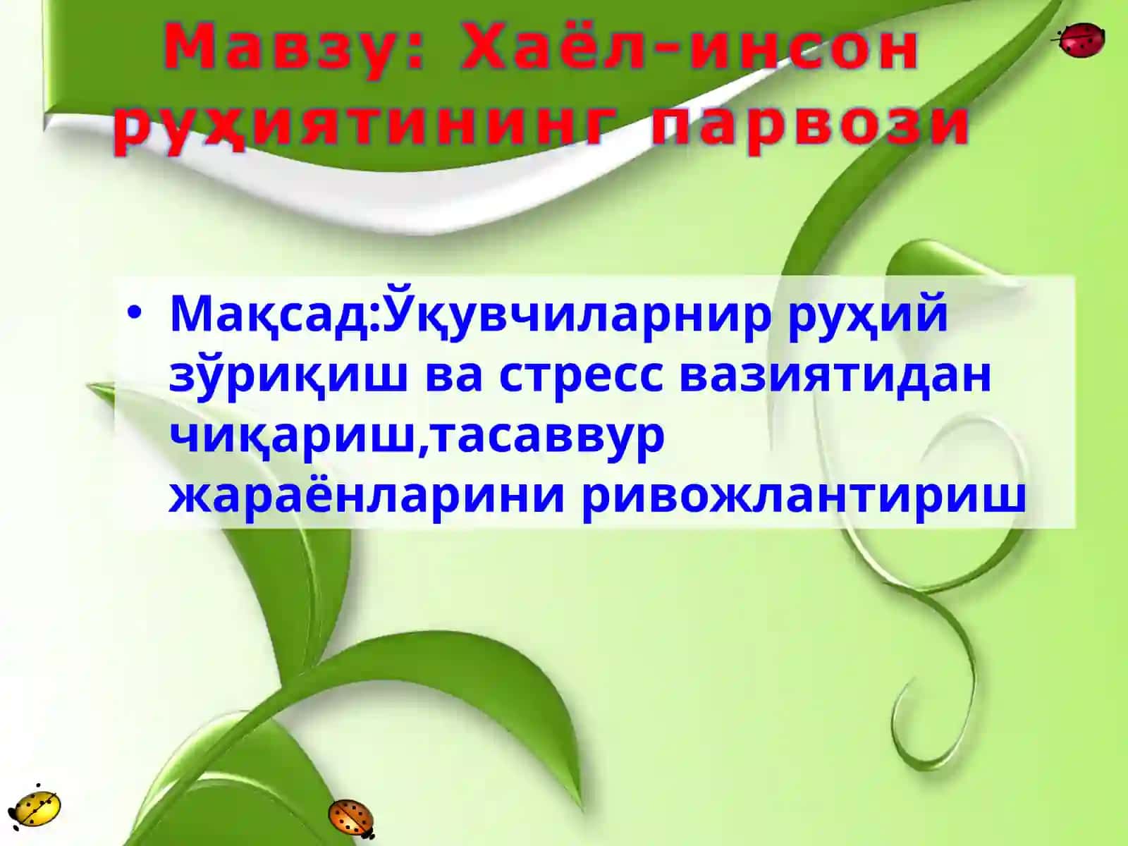 Тренинг қоидалари 2