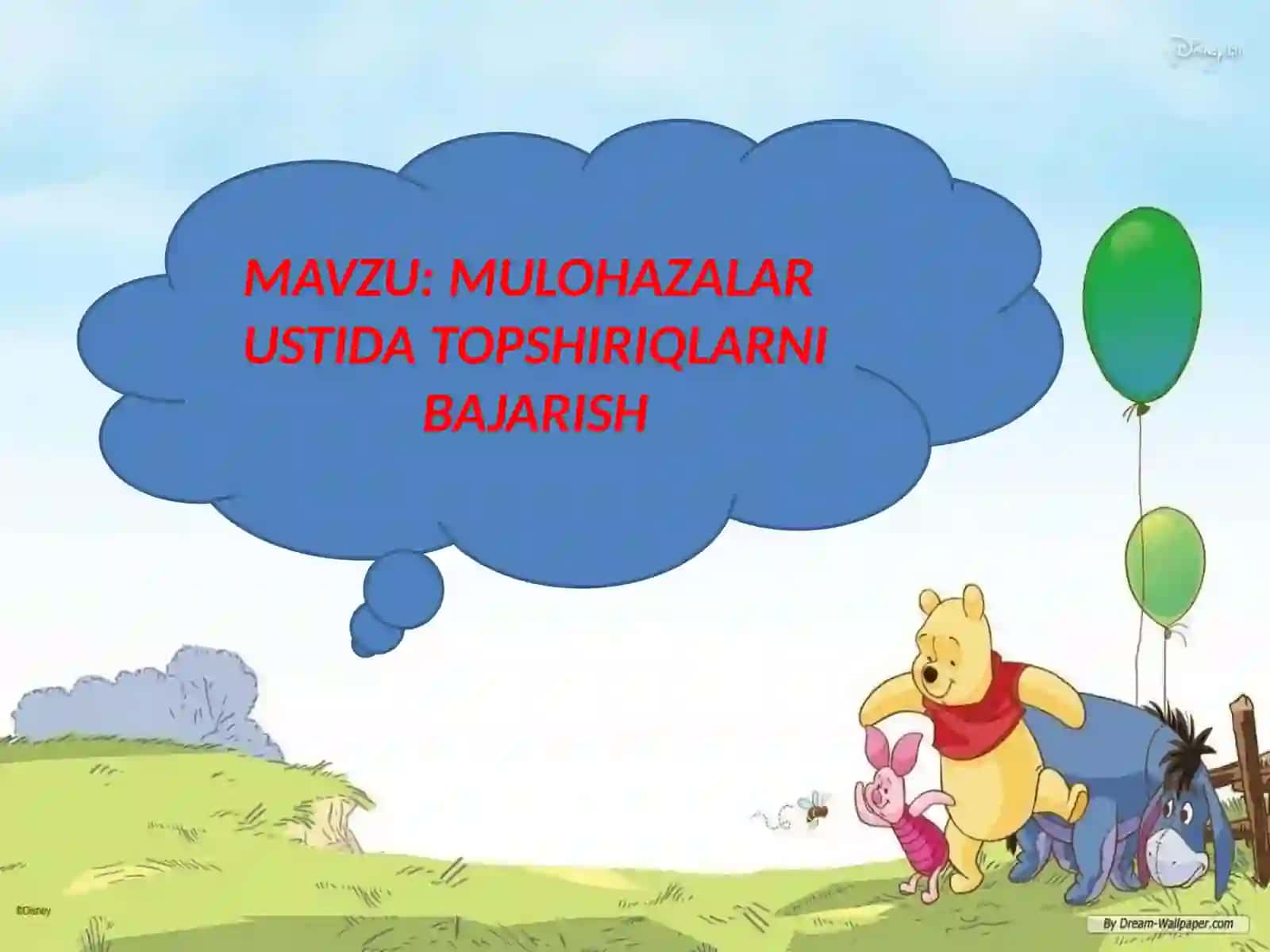 MULOHAZALAR USTIDA TOPSHIRIQLARNI BAJARISH 2