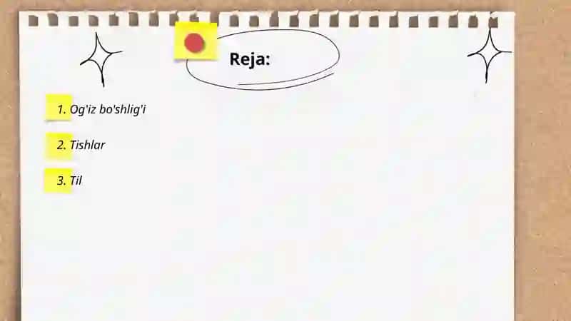 Og'iz bo'shlig'i 2